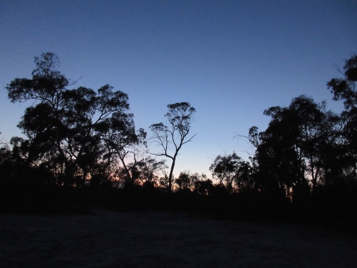 Sunrise at Yellowgums